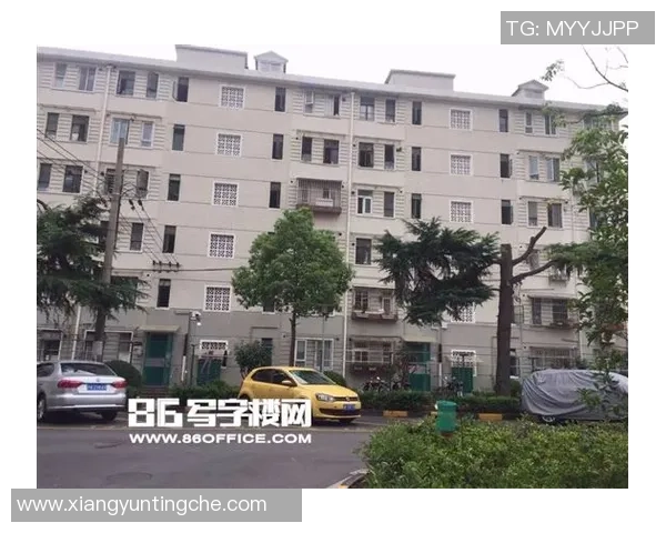 张芳专访：探寻网球领域的成功秘诀与成长之路